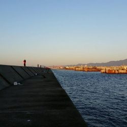 ムコイチ朝マズメ、ボチボチでした。